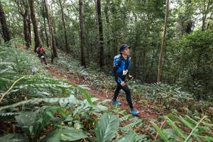 BIB: 
                            <button type="button" onclick="openModal(22564254)" class="btn btn-primary btn-sm float-right btn-popup" data-toggle="modal" data-target=".modal-high-quality">
                        <i class="fas fa-shopping-cart"></i> Add to Cart
                    </button>
                                            <button type="button" onclick="isThisMe(22564254, true)" class="btn btn-success btn-sm float-right btn-popup btn-isme hidden" data-toggle="tooltip" data-placement="bottom" title="นี่คือรูปของคุณใช่ไหม คลิกที่นี่เพื่อเอาเข้าอัลบั้ม">
                        <i class="fas fa-plus"></i> Add to album
                    </button>
                    <button type="button" onclick="isThisMe(22564254, false)" class="btn btn-warning btn-sm float-right btn-popup btn-isnotme hidden">
                        <i class="fas fa-ban"></i> Remove from album
                    </button>