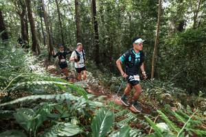 BIB: 345
                            <button type="button" onclick="openModal(22563324)" class="btn btn-primary btn-sm float-right btn-popup" data-toggle="modal" data-target=".modal-high-quality">
                        <i class="fas fa-shopping-cart"></i> Add to Cart
                    </button>
                                            <button type="button" onclick="isThisMe(22563324, true)" class="btn btn-success btn-sm float-right btn-popup btn-isme hidden" data-toggle="tooltip" data-placement="bottom" title="นี่คือรูปของคุณใช่ไหม คลิกที่นี่เพื่อเอาเข้าอัลบั้ม">
                        <i class="fas fa-plus"></i> Add to album
                    </button>
                    <button type="button" onclick="isThisMe(22563324, false)" class="btn btn-warning btn-sm float-right btn-popup btn-isnotme hidden">
                        <i class="fas fa-ban"></i> Remove from album
                    </button>