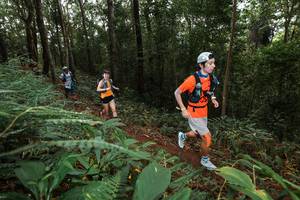 BIB: 
                            <button type="button" onclick="openModal(22536326)" class="btn btn-primary btn-sm float-right btn-popup" data-toggle="modal" data-target=".modal-high-quality">
                        <i class="fas fa-shopping-cart"></i> Add to Cart
                    </button>
                                            <button type="button" onclick="isThisMe(22536326, true)" class="btn btn-success btn-sm float-right btn-popup btn-isme hidden" data-toggle="tooltip" data-placement="bottom" title="นี่คือรูปของคุณใช่ไหม คลิกที่นี่เพื่อเอาเข้าอัลบั้ม">
                        <i class="fas fa-plus"></i> Add to album
                    </button>
                    <button type="button" onclick="isThisMe(22536326, false)" class="btn btn-warning btn-sm float-right btn-popup btn-isnotme hidden">
                        <i class="fas fa-ban"></i> Remove from album
                    </button>