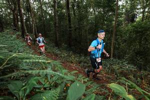 BIB: 
                            <button type="button" onclick="openModal(22536658)" class="btn btn-primary btn-sm float-right btn-popup" data-toggle="modal" data-target=".modal-high-quality">
                        <i class="fas fa-shopping-cart"></i> Add to Cart
                    </button>
                                            <button type="button" onclick="isThisMe(22536658, true)" class="btn btn-success btn-sm float-right btn-popup btn-isme hidden" data-toggle="tooltip" data-placement="bottom" title="นี่คือรูปของคุณใช่ไหม คลิกที่นี่เพื่อเอาเข้าอัลบั้ม">
                        <i class="fas fa-plus"></i> Add to album
                    </button>
                    <button type="button" onclick="isThisMe(22536658, false)" class="btn btn-warning btn-sm float-right btn-popup btn-isnotme hidden">
                        <i class="fas fa-ban"></i> Remove from album
                    </button>