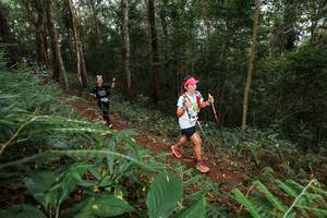 BIB: 
                            <button type="button" onclick="openModal(22583305)" class="btn btn-primary btn-sm float-right btn-popup" data-toggle="modal" data-target=".modal-high-quality">
                        <i class="fas fa-shopping-cart"></i> Add to Cart
                    </button>
                                            <button type="button" onclick="isThisMe(22583305, true)" class="btn btn-success btn-sm float-right btn-popup btn-isme hidden" data-toggle="tooltip" data-placement="bottom" title="นี่คือรูปของคุณใช่ไหม คลิกที่นี่เพื่อเอาเข้าอัลบั้ม">
                        <i class="fas fa-plus"></i> Add to album
                    </button>
                    <button type="button" onclick="isThisMe(22583305, false)" class="btn btn-warning btn-sm float-right btn-popup btn-isnotme hidden">
                        <i class="fas fa-ban"></i> Remove from album
                    </button>