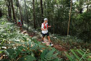 BIB: 
                            <button type="button" onclick="openModal(22546090)" class="btn btn-primary btn-sm float-right btn-popup" data-toggle="modal" data-target=".modal-high-quality">
                        <i class="fas fa-shopping-cart"></i> Add to Cart
                    </button>
                                            <button type="button" onclick="isThisMe(22546090, true)" class="btn btn-success btn-sm float-right btn-popup btn-isme hidden" data-toggle="tooltip" data-placement="bottom" title="นี่คือรูปของคุณใช่ไหม คลิกที่นี่เพื่อเอาเข้าอัลบั้ม">
                        <i class="fas fa-plus"></i> Add to album
                    </button>
                    <button type="button" onclick="isThisMe(22546090, false)" class="btn btn-warning btn-sm float-right btn-popup btn-isnotme hidden">
                        <i class="fas fa-ban"></i> Remove from album
                    </button>