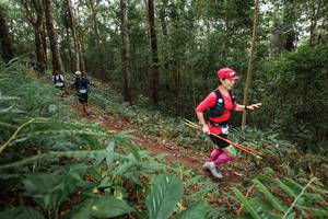 BIB: 
                            <button type="button" onclick="openModal(22568370)" class="btn btn-primary btn-sm float-right btn-popup" data-toggle="modal" data-target=".modal-high-quality">
                        <i class="fas fa-shopping-cart"></i> Add to Cart
                    </button>
                                            <button type="button" onclick="isThisMe(22568370, true)" class="btn btn-success btn-sm float-right btn-popup btn-isme hidden" data-toggle="tooltip" data-placement="bottom" title="นี่คือรูปของคุณใช่ไหม คลิกที่นี่เพื่อเอาเข้าอัลบั้ม">
                        <i class="fas fa-plus"></i> Add to album
                    </button>
                    <button type="button" onclick="isThisMe(22568370, false)" class="btn btn-warning btn-sm float-right btn-popup btn-isnotme hidden">
                        <i class="fas fa-ban"></i> Remove from album
                    </button>