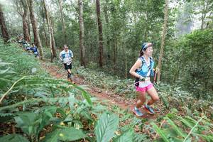 BIB: 
                            <button type="button" onclick="openModal(22574021)" class="btn btn-primary btn-sm float-right btn-popup" data-toggle="modal" data-target=".modal-high-quality">
                        <i class="fas fa-shopping-cart"></i> Add to Cart
                    </button>
                                            <button type="button" onclick="isThisMe(22574021, true)" class="btn btn-success btn-sm float-right btn-popup btn-isme hidden" data-toggle="tooltip" data-placement="bottom" title="นี่คือรูปของคุณใช่ไหม คลิกที่นี่เพื่อเอาเข้าอัลบั้ม">
                        <i class="fas fa-plus"></i> Add to album
                    </button>
                    <button type="button" onclick="isThisMe(22574021, false)" class="btn btn-warning btn-sm float-right btn-popup btn-isnotme hidden">
                        <i class="fas fa-ban"></i> Remove from album
                    </button>