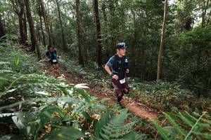 BIB: 
                            <button type="button" onclick="openModal(22544645)" class="btn btn-primary btn-sm float-right btn-popup" data-toggle="modal" data-target=".modal-high-quality">
                        <i class="fas fa-shopping-cart"></i> Add to Cart
                    </button>
                                            <button type="button" onclick="isThisMe(22544645, true)" class="btn btn-success btn-sm float-right btn-popup btn-isme hidden" data-toggle="tooltip" data-placement="bottom" title="นี่คือรูปของคุณใช่ไหม คลิกที่นี่เพื่อเอาเข้าอัลบั้ม">
                        <i class="fas fa-plus"></i> Add to album
                    </button>
                    <button type="button" onclick="isThisMe(22544645, false)" class="btn btn-warning btn-sm float-right btn-popup btn-isnotme hidden">
                        <i class="fas fa-ban"></i> Remove from album
                    </button>