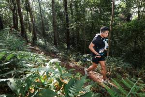 BIB: 
                            <button type="button" onclick="openModal(22544553)" class="btn btn-primary btn-sm float-right btn-popup" data-toggle="modal" data-target=".modal-high-quality">
                        <i class="fas fa-shopping-cart"></i> Add to Cart
                    </button>
                                            <button type="button" onclick="isThisMe(22544553, true)" class="btn btn-success btn-sm float-right btn-popup btn-isme hidden" data-toggle="tooltip" data-placement="bottom" title="นี่คือรูปของคุณใช่ไหม คลิกที่นี่เพื่อเอาเข้าอัลบั้ม">
                        <i class="fas fa-plus"></i> Add to album
                    </button>
                    <button type="button" onclick="isThisMe(22544553, false)" class="btn btn-warning btn-sm float-right btn-popup btn-isnotme hidden">
                        <i class="fas fa-ban"></i> Remove from album
                    </button>