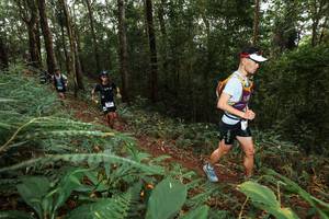 BIB: 
                            <button type="button" onclick="openModal(22537205)" class="btn btn-primary btn-sm float-right btn-popup" data-toggle="modal" data-target=".modal-high-quality">
                        <i class="fas fa-shopping-cart"></i> Add to Cart
                    </button>
                                            <button type="button" onclick="isThisMe(22537205, true)" class="btn btn-success btn-sm float-right btn-popup btn-isme hidden" data-toggle="tooltip" data-placement="bottom" title="นี่คือรูปของคุณใช่ไหม คลิกที่นี่เพื่อเอาเข้าอัลบั้ม">
                        <i class="fas fa-plus"></i> Add to album
                    </button>
                    <button type="button" onclick="isThisMe(22537205, false)" class="btn btn-warning btn-sm float-right btn-popup btn-isnotme hidden">
                        <i class="fas fa-ban"></i> Remove from album
                    </button>