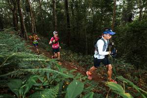 BIB: 
                            <button type="button" onclick="openModal(22533293)" class="btn btn-primary btn-sm float-right btn-popup" data-toggle="modal" data-target=".modal-high-quality">
                        <i class="fas fa-shopping-cart"></i> Add to Cart
                    </button>
                                            <button type="button" onclick="isThisMe(22533293, true)" class="btn btn-success btn-sm float-right btn-popup btn-isme hidden" data-toggle="tooltip" data-placement="bottom" title="นี่คือรูปของคุณใช่ไหม คลิกที่นี่เพื่อเอาเข้าอัลบั้ม">
                        <i class="fas fa-plus"></i> Add to album
                    </button>
                    <button type="button" onclick="isThisMe(22533293, false)" class="btn btn-warning btn-sm float-right btn-popup btn-isnotme hidden">
                        <i class="fas fa-ban"></i> Remove from album
                    </button>