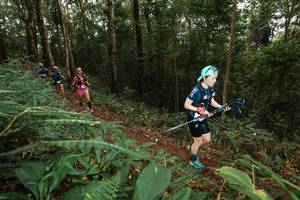 BIB: 
                            <button type="button" onclick="openModal(22534430)" class="btn btn-primary btn-sm float-right btn-popup" data-toggle="modal" data-target=".modal-high-quality">
                        <i class="fas fa-shopping-cart"></i> Add to Cart
                    </button>
                                            <button type="button" onclick="isThisMe(22534430, true)" class="btn btn-success btn-sm float-right btn-popup btn-isme hidden" data-toggle="tooltip" data-placement="bottom" title="นี่คือรูปของคุณใช่ไหม คลิกที่นี่เพื่อเอาเข้าอัลบั้ม">
                        <i class="fas fa-plus"></i> Add to album
                    </button>
                    <button type="button" onclick="isThisMe(22534430, false)" class="btn btn-warning btn-sm float-right btn-popup btn-isnotme hidden">
                        <i class="fas fa-ban"></i> Remove from album
                    </button>