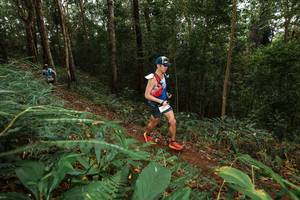 BIB: 
                            <button type="button" onclick="openModal(22533876)" class="btn btn-primary btn-sm float-right btn-popup" data-toggle="modal" data-target=".modal-high-quality">
                        <i class="fas fa-shopping-cart"></i> Add to Cart
                    </button>
                                            <button type="button" onclick="isThisMe(22533876, true)" class="btn btn-success btn-sm float-right btn-popup btn-isme hidden" data-toggle="tooltip" data-placement="bottom" title="นี่คือรูปของคุณใช่ไหม คลิกที่นี่เพื่อเอาเข้าอัลบั้ม">
                        <i class="fas fa-plus"></i> Add to album
                    </button>
                    <button type="button" onclick="isThisMe(22533876, false)" class="btn btn-warning btn-sm float-right btn-popup btn-isnotme hidden">
                        <i class="fas fa-ban"></i> Remove from album
                    </button>