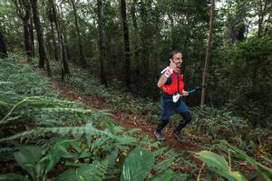 BIB: 
                            <button type="button" onclick="openModal(22543219)" class="btn btn-primary btn-sm float-right btn-popup" data-toggle="modal" data-target=".modal-high-quality">
                        <i class="fas fa-shopping-cart"></i> Add to Cart
                    </button>
                                            <button type="button" onclick="isThisMe(22543219, true)" class="btn btn-success btn-sm float-right btn-popup btn-isme hidden" data-toggle="tooltip" data-placement="bottom" title="นี่คือรูปของคุณใช่ไหม คลิกที่นี่เพื่อเอาเข้าอัลบั้ม">
                        <i class="fas fa-plus"></i> Add to album
                    </button>
                    <button type="button" onclick="isThisMe(22543219, false)" class="btn btn-warning btn-sm float-right btn-popup btn-isnotme hidden">
                        <i class="fas fa-ban"></i> Remove from album
                    </button>