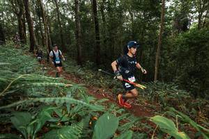 BIB: 
                            <button type="button" onclick="openModal(22537213)" class="btn btn-primary btn-sm float-right btn-popup" data-toggle="modal" data-target=".modal-high-quality">
                        <i class="fas fa-shopping-cart"></i> Add to Cart
                    </button>
                                            <button type="button" onclick="isThisMe(22537213, true)" class="btn btn-success btn-sm float-right btn-popup btn-isme hidden" data-toggle="tooltip" data-placement="bottom" title="นี่คือรูปของคุณใช่ไหม คลิกที่นี่เพื่อเอาเข้าอัลบั้ม">
                        <i class="fas fa-plus"></i> Add to album
                    </button>
                    <button type="button" onclick="isThisMe(22537213, false)" class="btn btn-warning btn-sm float-right btn-popup btn-isnotme hidden">
                        <i class="fas fa-ban"></i> Remove from album
                    </button>