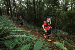 BIB: 
                            <button type="button" onclick="openModal(22536417)" class="btn btn-primary btn-sm float-right btn-popup" data-toggle="modal" data-target=".modal-high-quality">
                        <i class="fas fa-shopping-cart"></i> Add to Cart
                    </button>
                                            <button type="button" onclick="isThisMe(22536417, true)" class="btn btn-success btn-sm float-right btn-popup btn-isme hidden" data-toggle="tooltip" data-placement="bottom" title="นี่คือรูปของคุณใช่ไหม คลิกที่นี่เพื่อเอาเข้าอัลบั้ม">
                        <i class="fas fa-plus"></i> Add to album
                    </button>
                    <button type="button" onclick="isThisMe(22536417, false)" class="btn btn-warning btn-sm float-right btn-popup btn-isnotme hidden">
                        <i class="fas fa-ban"></i> Remove from album
                    </button>