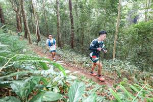 BIB: 
                            <button type="button" onclick="openModal(22581693)" class="btn btn-primary btn-sm float-right btn-popup" data-toggle="modal" data-target=".modal-high-quality">
                        <i class="fas fa-shopping-cart"></i> Add to Cart
                    </button>
                                            <button type="button" onclick="isThisMe(22581693, true)" class="btn btn-success btn-sm float-right btn-popup btn-isme hidden" data-toggle="tooltip" data-placement="bottom" title="นี่คือรูปของคุณใช่ไหม คลิกที่นี่เพื่อเอาเข้าอัลบั้ม">
                        <i class="fas fa-plus"></i> Add to album
                    </button>
                    <button type="button" onclick="isThisMe(22581693, false)" class="btn btn-warning btn-sm float-right btn-popup btn-isnotme hidden">
                        <i class="fas fa-ban"></i> Remove from album
                    </button>