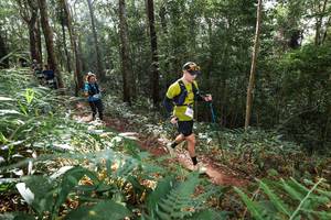 BIB: 
                            <button type="button" onclick="openModal(22545358)" class="btn btn-primary btn-sm float-right btn-popup" data-toggle="modal" data-target=".modal-high-quality">
                        <i class="fas fa-shopping-cart"></i> Add to Cart
                    </button>
                                            <button type="button" onclick="isThisMe(22545358, true)" class="btn btn-success btn-sm float-right btn-popup btn-isme hidden" data-toggle="tooltip" data-placement="bottom" title="นี่คือรูปของคุณใช่ไหม คลิกที่นี่เพื่อเอาเข้าอัลบั้ม">
                        <i class="fas fa-plus"></i> Add to album
                    </button>
                    <button type="button" onclick="isThisMe(22545358, false)" class="btn btn-warning btn-sm float-right btn-popup btn-isnotme hidden">
                        <i class="fas fa-ban"></i> Remove from album
                    </button>