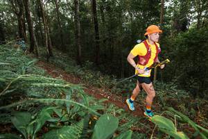 BIB: 
                            <button type="button" onclick="openModal(22533630)" class="btn btn-primary btn-sm float-right btn-popup" data-toggle="modal" data-target=".modal-high-quality">
                        <i class="fas fa-shopping-cart"></i> Add to Cart
                    </button>
                                            <button type="button" onclick="isThisMe(22533630, true)" class="btn btn-success btn-sm float-right btn-popup btn-isme hidden" data-toggle="tooltip" data-placement="bottom" title="นี่คือรูปของคุณใช่ไหม คลิกที่นี่เพื่อเอาเข้าอัลบั้ม">
                        <i class="fas fa-plus"></i> Add to album
                    </button>
                    <button type="button" onclick="isThisMe(22533630, false)" class="btn btn-warning btn-sm float-right btn-popup btn-isnotme hidden">
                        <i class="fas fa-ban"></i> Remove from album
                    </button>