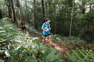 BIB: 
                            <button type="button" onclick="openModal(22545255)" class="btn btn-primary btn-sm float-right btn-popup" data-toggle="modal" data-target=".modal-high-quality">
                        <i class="fas fa-shopping-cart"></i> Add to Cart
                    </button>
                                            <button type="button" onclick="isThisMe(22545255, true)" class="btn btn-success btn-sm float-right btn-popup btn-isme hidden" data-toggle="tooltip" data-placement="bottom" title="นี่คือรูปของคุณใช่ไหม คลิกที่นี่เพื่อเอาเข้าอัลบั้ม">
                        <i class="fas fa-plus"></i> Add to album
                    </button>
                    <button type="button" onclick="isThisMe(22545255, false)" class="btn btn-warning btn-sm float-right btn-popup btn-isnotme hidden">
                        <i class="fas fa-ban"></i> Remove from album
                    </button>