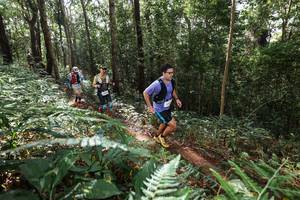 BIB: 
                            <button type="button" onclick="openModal(22546891)" class="btn btn-primary btn-sm float-right btn-popup" data-toggle="modal" data-target=".modal-high-quality">
                        <i class="fas fa-shopping-cart"></i> Add to Cart
                    </button>
                                            <button type="button" onclick="isThisMe(22546891, true)" class="btn btn-success btn-sm float-right btn-popup btn-isme hidden" data-toggle="tooltip" data-placement="bottom" title="นี่คือรูปของคุณใช่ไหม คลิกที่นี่เพื่อเอาเข้าอัลบั้ม">
                        <i class="fas fa-plus"></i> Add to album
                    </button>
                    <button type="button" onclick="isThisMe(22546891, false)" class="btn btn-warning btn-sm float-right btn-popup btn-isnotme hidden">
                        <i class="fas fa-ban"></i> Remove from album
                    </button>