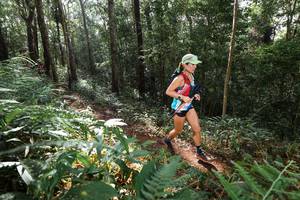 BIB: 
                            <button type="button" onclick="openModal(22544823)" class="btn btn-primary btn-sm float-right btn-popup" data-toggle="modal" data-target=".modal-high-quality">
                        <i class="fas fa-shopping-cart"></i> Add to Cart
                    </button>
                                            <button type="button" onclick="isThisMe(22544823, true)" class="btn btn-success btn-sm float-right btn-popup btn-isme hidden" data-toggle="tooltip" data-placement="bottom" title="นี่คือรูปของคุณใช่ไหม คลิกที่นี่เพื่อเอาเข้าอัลบั้ม">
                        <i class="fas fa-plus"></i> Add to album
                    </button>
                    <button type="button" onclick="isThisMe(22544823, false)" class="btn btn-warning btn-sm float-right btn-popup btn-isnotme hidden">
                        <i class="fas fa-ban"></i> Remove from album
                    </button>