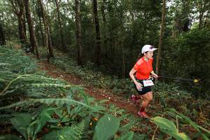 BIB: 5200
                            <button type="button" onclick="openModal(22534332)" class="btn btn-primary btn-sm float-right btn-popup" data-toggle="modal" data-target=".modal-high-quality">
                        <i class="fas fa-shopping-cart"></i> Add to Cart
                    </button>
                                            <button type="button" onclick="isThisMe(22534332, true)" class="btn btn-success btn-sm float-right btn-popup btn-isme hidden" data-toggle="tooltip" data-placement="bottom" title="นี่คือรูปของคุณใช่ไหม คลิกที่นี่เพื่อเอาเข้าอัลบั้ม">
                        <i class="fas fa-plus"></i> Add to album
                    </button>
                    <button type="button" onclick="isThisMe(22534332, false)" class="btn btn-warning btn-sm float-right btn-popup btn-isnotme hidden">
                        <i class="fas fa-ban"></i> Remove from album
                    </button>