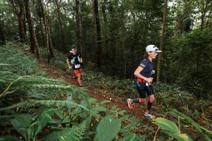 BIB: 
                            <button type="button" onclick="openModal(22533410)" class="btn btn-primary btn-sm float-right btn-popup" data-toggle="modal" data-target=".modal-high-quality">
                        <i class="fas fa-shopping-cart"></i> Add to Cart
                    </button>
                                            <button type="button" onclick="isThisMe(22533410, true)" class="btn btn-success btn-sm float-right btn-popup btn-isme hidden" data-toggle="tooltip" data-placement="bottom" title="นี่คือรูปของคุณใช่ไหม คลิกที่นี่เพื่อเอาเข้าอัลบั้ม">
                        <i class="fas fa-plus"></i> Add to album
                    </button>
                    <button type="button" onclick="isThisMe(22533410, false)" class="btn btn-warning btn-sm float-right btn-popup btn-isnotme hidden">
                        <i class="fas fa-ban"></i> Remove from album
                    </button>