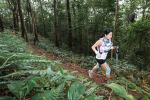 BIB: 
                            <button type="button" onclick="openModal(22543124)" class="btn btn-primary btn-sm float-right btn-popup" data-toggle="modal" data-target=".modal-high-quality">
                        <i class="fas fa-shopping-cart"></i> Add to Cart
                    </button>
                                            <button type="button" onclick="isThisMe(22543124, true)" class="btn btn-success btn-sm float-right btn-popup btn-isme hidden" data-toggle="tooltip" data-placement="bottom" title="นี่คือรูปของคุณใช่ไหม คลิกที่นี่เพื่อเอาเข้าอัลบั้ม">
                        <i class="fas fa-plus"></i> Add to album
                    </button>
                    <button type="button" onclick="isThisMe(22543124, false)" class="btn btn-warning btn-sm float-right btn-popup btn-isnotme hidden">
                        <i class="fas fa-ban"></i> Remove from album
                    </button>