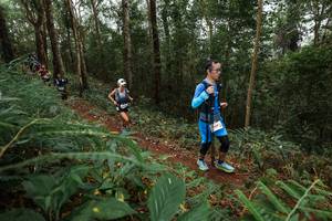 BIB: 
                            <button type="button" onclick="openModal(22571369)" class="btn btn-primary btn-sm float-right btn-popup" data-toggle="modal" data-target=".modal-high-quality">
                        <i class="fas fa-shopping-cart"></i> Add to Cart
                    </button>
                                            <button type="button" onclick="isThisMe(22571369, true)" class="btn btn-success btn-sm float-right btn-popup btn-isme hidden" data-toggle="tooltip" data-placement="bottom" title="นี่คือรูปของคุณใช่ไหม คลิกที่นี่เพื่อเอาเข้าอัลบั้ม">
                        <i class="fas fa-plus"></i> Add to album
                    </button>
                    <button type="button" onclick="isThisMe(22571369, false)" class="btn btn-warning btn-sm float-right btn-popup btn-isnotme hidden">
                        <i class="fas fa-ban"></i> Remove from album
                    </button>