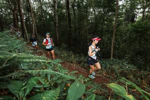 BIB: 
                            <button type="button" onclick="openModal(22538302)" class="btn btn-primary btn-sm float-right btn-popup" data-toggle="modal" data-target=".modal-high-quality">
                        <i class="fas fa-shopping-cart"></i> Add to Cart
                    </button>
                                            <button type="button" onclick="isThisMe(22538302, true)" class="btn btn-success btn-sm float-right btn-popup btn-isme hidden" data-toggle="tooltip" data-placement="bottom" title="นี่คือรูปของคุณใช่ไหม คลิกที่นี่เพื่อเอาเข้าอัลบั้ม">
                        <i class="fas fa-plus"></i> Add to album
                    </button>
                    <button type="button" onclick="isThisMe(22538302, false)" class="btn btn-warning btn-sm float-right btn-popup btn-isnotme hidden">
                        <i class="fas fa-ban"></i> Remove from album
                    </button>