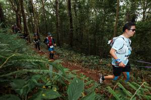 BIB: 
                            <button type="button" onclick="openModal(22582266)" class="btn btn-primary btn-sm float-right btn-popup" data-toggle="modal" data-target=".modal-high-quality">
                        <i class="fas fa-shopping-cart"></i> Add to Cart
                    </button>
                                            <button type="button" onclick="isThisMe(22582266, true)" class="btn btn-success btn-sm float-right btn-popup btn-isme hidden" data-toggle="tooltip" data-placement="bottom" title="นี่คือรูปของคุณใช่ไหม คลิกที่นี่เพื่อเอาเข้าอัลบั้ม">
                        <i class="fas fa-plus"></i> Add to album
                    </button>
                    <button type="button" onclick="isThisMe(22582266, false)" class="btn btn-warning btn-sm float-right btn-popup btn-isnotme hidden">
                        <i class="fas fa-ban"></i> Remove from album
                    </button>