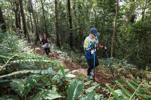 BIB: 
                            <button type="button" onclick="openModal(22563972)" class="btn btn-primary btn-sm float-right btn-popup" data-toggle="modal" data-target=".modal-high-quality">
                        <i class="fas fa-shopping-cart"></i> Add to Cart
                    </button>
                                            <button type="button" onclick="isThisMe(22563972, true)" class="btn btn-success btn-sm float-right btn-popup btn-isme hidden" data-toggle="tooltip" data-placement="bottom" title="นี่คือรูปของคุณใช่ไหม คลิกที่นี่เพื่อเอาเข้าอัลบั้ม">
                        <i class="fas fa-plus"></i> Add to album
                    </button>
                    <button type="button" onclick="isThisMe(22563972, false)" class="btn btn-warning btn-sm float-right btn-popup btn-isnotme hidden">
                        <i class="fas fa-ban"></i> Remove from album
                    </button>