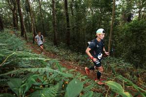 BIB: 
                            <button type="button" onclick="openModal(22534234)" class="btn btn-primary btn-sm float-right btn-popup" data-toggle="modal" data-target=".modal-high-quality">
                        <i class="fas fa-shopping-cart"></i> Add to Cart
                    </button>
                                            <button type="button" onclick="isThisMe(22534234, true)" class="btn btn-success btn-sm float-right btn-popup btn-isme hidden" data-toggle="tooltip" data-placement="bottom" title="นี่คือรูปของคุณใช่ไหม คลิกที่นี่เพื่อเอาเข้าอัลบั้ม">
                        <i class="fas fa-plus"></i> Add to album
                    </button>
                    <button type="button" onclick="isThisMe(22534234, false)" class="btn btn-warning btn-sm float-right btn-popup btn-isnotme hidden">
                        <i class="fas fa-ban"></i> Remove from album
                    </button>