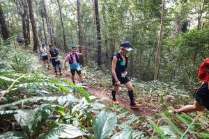 BIB: 
                            <button type="button" onclick="openModal(22565785)" class="btn btn-primary btn-sm float-right btn-popup" data-toggle="modal" data-target=".modal-high-quality">
                        <i class="fas fa-shopping-cart"></i> Add to Cart
                    </button>
                                            <button type="button" onclick="isThisMe(22565785, true)" class="btn btn-success btn-sm float-right btn-popup btn-isme hidden" data-toggle="tooltip" data-placement="bottom" title="นี่คือรูปของคุณใช่ไหม คลิกที่นี่เพื่อเอาเข้าอัลบั้ม">
                        <i class="fas fa-plus"></i> Add to album
                    </button>
                    <button type="button" onclick="isThisMe(22565785, false)" class="btn btn-warning btn-sm float-right btn-popup btn-isnotme hidden">
                        <i class="fas fa-ban"></i> Remove from album
                    </button>