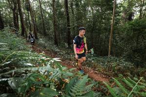 BIB: 
                            <button type="button" onclick="openModal(22544615)" class="btn btn-primary btn-sm float-right btn-popup" data-toggle="modal" data-target=".modal-high-quality">
                        <i class="fas fa-shopping-cart"></i> Add to Cart
                    </button>
                                            <button type="button" onclick="isThisMe(22544615, true)" class="btn btn-success btn-sm float-right btn-popup btn-isme hidden" data-toggle="tooltip" data-placement="bottom" title="นี่คือรูปของคุณใช่ไหม คลิกที่นี่เพื่อเอาเข้าอัลบั้ม">
                        <i class="fas fa-plus"></i> Add to album
                    </button>
                    <button type="button" onclick="isThisMe(22544615, false)" class="btn btn-warning btn-sm float-right btn-popup btn-isnotme hidden">
                        <i class="fas fa-ban"></i> Remove from album
                    </button>