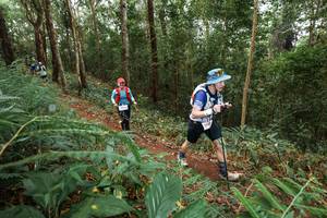 BIB: 
                            <button type="button" onclick="openModal(22570820)" class="btn btn-primary btn-sm float-right btn-popup" data-toggle="modal" data-target=".modal-high-quality">
                        <i class="fas fa-shopping-cart"></i> Add to Cart
                    </button>
                                            <button type="button" onclick="isThisMe(22570820, true)" class="btn btn-success btn-sm float-right btn-popup btn-isme hidden" data-toggle="tooltip" data-placement="bottom" title="นี่คือรูปของคุณใช่ไหม คลิกที่นี่เพื่อเอาเข้าอัลบั้ม">
                        <i class="fas fa-plus"></i> Add to album
                    </button>
                    <button type="button" onclick="isThisMe(22570820, false)" class="btn btn-warning btn-sm float-right btn-popup btn-isnotme hidden">
                        <i class="fas fa-ban"></i> Remove from album
                    </button>