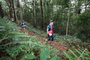 BIB: 
                            <button type="button" onclick="openModal(22567661)" class="btn btn-primary btn-sm float-right btn-popup" data-toggle="modal" data-target=".modal-high-quality">
                        <i class="fas fa-shopping-cart"></i> Add to Cart
                    </button>
                                            <button type="button" onclick="isThisMe(22567661, true)" class="btn btn-success btn-sm float-right btn-popup btn-isme hidden" data-toggle="tooltip" data-placement="bottom" title="นี่คือรูปของคุณใช่ไหม คลิกที่นี่เพื่อเอาเข้าอัลบั้ม">
                        <i class="fas fa-plus"></i> Add to album
                    </button>
                    <button type="button" onclick="isThisMe(22567661, false)" class="btn btn-warning btn-sm float-right btn-popup btn-isnotme hidden">
                        <i class="fas fa-ban"></i> Remove from album
                    </button>