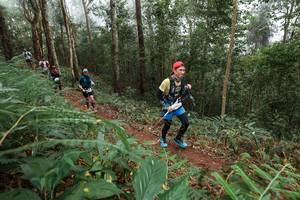 BIB: 
                            <button type="button" onclick="openModal(22572029)" class="btn btn-primary btn-sm float-right btn-popup" data-toggle="modal" data-target=".modal-high-quality">
                        <i class="fas fa-shopping-cart"></i> Add to Cart
                    </button>
                                            <button type="button" onclick="isThisMe(22572029, true)" class="btn btn-success btn-sm float-right btn-popup btn-isme hidden" data-toggle="tooltip" data-placement="bottom" title="นี่คือรูปของคุณใช่ไหม คลิกที่นี่เพื่อเอาเข้าอัลบั้ม">
                        <i class="fas fa-plus"></i> Add to album
                    </button>
                    <button type="button" onclick="isThisMe(22572029, false)" class="btn btn-warning btn-sm float-right btn-popup btn-isnotme hidden">
                        <i class="fas fa-ban"></i> Remove from album
                    </button>