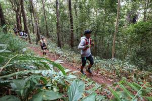 BIB: 
                            <button type="button" onclick="openModal(22566841)" class="btn btn-primary btn-sm float-right btn-popup" data-toggle="modal" data-target=".modal-high-quality">
                        <i class="fas fa-shopping-cart"></i> Add to Cart
                    </button>
                                            <button type="button" onclick="isThisMe(22566841, true)" class="btn btn-success btn-sm float-right btn-popup btn-isme hidden" data-toggle="tooltip" data-placement="bottom" title="นี่คือรูปของคุณใช่ไหม คลิกที่นี่เพื่อเอาเข้าอัลบั้ม">
                        <i class="fas fa-plus"></i> Add to album
                    </button>
                    <button type="button" onclick="isThisMe(22566841, false)" class="btn btn-warning btn-sm float-right btn-popup btn-isnotme hidden">
                        <i class="fas fa-ban"></i> Remove from album
                    </button>