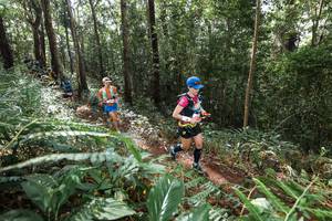 BIB: 
                            <button type="button" onclick="openModal(22562901)" class="btn btn-primary btn-sm float-right btn-popup" data-toggle="modal" data-target=".modal-high-quality">
                        <i class="fas fa-shopping-cart"></i> Add to Cart
                    </button>
                                            <button type="button" onclick="isThisMe(22562901, true)" class="btn btn-success btn-sm float-right btn-popup btn-isme hidden" data-toggle="tooltip" data-placement="bottom" title="นี่คือรูปของคุณใช่ไหม คลิกที่นี่เพื่อเอาเข้าอัลบั้ม">
                        <i class="fas fa-plus"></i> Add to album
                    </button>
                    <button type="button" onclick="isThisMe(22562901, false)" class="btn btn-warning btn-sm float-right btn-popup btn-isnotme hidden">
                        <i class="fas fa-ban"></i> Remove from album
                    </button>