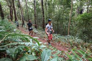 BIB: 
                            <button type="button" onclick="openModal(22566996)" class="btn btn-primary btn-sm float-right btn-popup" data-toggle="modal" data-target=".modal-high-quality">
                        <i class="fas fa-shopping-cart"></i> Add to Cart
                    </button>
                                            <button type="button" onclick="isThisMe(22566996, true)" class="btn btn-success btn-sm float-right btn-popup btn-isme hidden" data-toggle="tooltip" data-placement="bottom" title="นี่คือรูปของคุณใช่ไหม คลิกที่นี่เพื่อเอาเข้าอัลบั้ม">
                        <i class="fas fa-plus"></i> Add to album
                    </button>
                    <button type="button" onclick="isThisMe(22566996, false)" class="btn btn-warning btn-sm float-right btn-popup btn-isnotme hidden">
                        <i class="fas fa-ban"></i> Remove from album
                    </button>