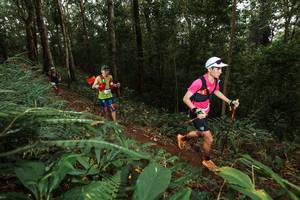 BIB: 
                            <button type="button" onclick="openModal(22533298)" class="btn btn-primary btn-sm float-right btn-popup" data-toggle="modal" data-target=".modal-high-quality">
                        <i class="fas fa-shopping-cart"></i> Add to Cart
                    </button>
                                            <button type="button" onclick="isThisMe(22533298, true)" class="btn btn-success btn-sm float-right btn-popup btn-isme hidden" data-toggle="tooltip" data-placement="bottom" title="นี่คือรูปของคุณใช่ไหม คลิกที่นี่เพื่อเอาเข้าอัลบั้ม">
                        <i class="fas fa-plus"></i> Add to album
                    </button>
                    <button type="button" onclick="isThisMe(22533298, false)" class="btn btn-warning btn-sm float-right btn-popup btn-isnotme hidden">
                        <i class="fas fa-ban"></i> Remove from album
                    </button>