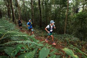 BIB: 
                            <button type="button" onclick="openModal(22534674)" class="btn btn-primary btn-sm float-right btn-popup" data-toggle="modal" data-target=".modal-high-quality">
                        <i class="fas fa-shopping-cart"></i> Add to Cart
                    </button>
                                            <button type="button" onclick="isThisMe(22534674, true)" class="btn btn-success btn-sm float-right btn-popup btn-isme hidden" data-toggle="tooltip" data-placement="bottom" title="นี่คือรูปของคุณใช่ไหม คลิกที่นี่เพื่อเอาเข้าอัลบั้ม">
                        <i class="fas fa-plus"></i> Add to album
                    </button>
                    <button type="button" onclick="isThisMe(22534674, false)" class="btn btn-warning btn-sm float-right btn-popup btn-isnotme hidden">
                        <i class="fas fa-ban"></i> Remove from album
                    </button>