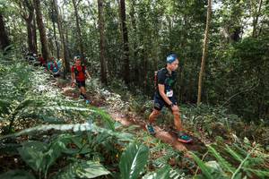 BIB: 
                            <button type="button" onclick="openModal(22547331)" class="btn btn-primary btn-sm float-right btn-popup" data-toggle="modal" data-target=".modal-high-quality">
                        <i class="fas fa-shopping-cart"></i> Add to Cart
                    </button>
                                            <button type="button" onclick="isThisMe(22547331, true)" class="btn btn-success btn-sm float-right btn-popup btn-isme hidden" data-toggle="tooltip" data-placement="bottom" title="นี่คือรูปของคุณใช่ไหม คลิกที่นี่เพื่อเอาเข้าอัลบั้ม">
                        <i class="fas fa-plus"></i> Add to album
                    </button>
                    <button type="button" onclick="isThisMe(22547331, false)" class="btn btn-warning btn-sm float-right btn-popup btn-isnotme hidden">
                        <i class="fas fa-ban"></i> Remove from album
                    </button>