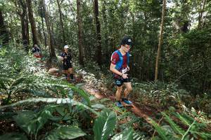 BIB: 
                            <button type="button" onclick="openModal(22547188)" class="btn btn-primary btn-sm float-right btn-popup" data-toggle="modal" data-target=".modal-high-quality">
                        <i class="fas fa-shopping-cart"></i> Add to Cart
                    </button>
                                            <button type="button" onclick="isThisMe(22547188, true)" class="btn btn-success btn-sm float-right btn-popup btn-isme hidden" data-toggle="tooltip" data-placement="bottom" title="นี่คือรูปของคุณใช่ไหม คลิกที่นี่เพื่อเอาเข้าอัลบั้ม">
                        <i class="fas fa-plus"></i> Add to album
                    </button>
                    <button type="button" onclick="isThisMe(22547188, false)" class="btn btn-warning btn-sm float-right btn-popup btn-isnotme hidden">
                        <i class="fas fa-ban"></i> Remove from album
                    </button>