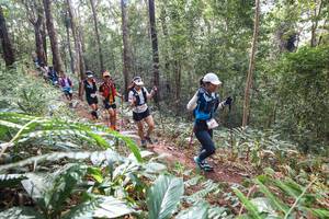 BIB: 
                            <button type="button" onclick="openModal(22565659)" class="btn btn-primary btn-sm float-right btn-popup" data-toggle="modal" data-target=".modal-high-quality">
                        <i class="fas fa-shopping-cart"></i> Add to Cart
                    </button>
                                            <button type="button" onclick="isThisMe(22565659, true)" class="btn btn-success btn-sm float-right btn-popup btn-isme hidden" data-toggle="tooltip" data-placement="bottom" title="นี่คือรูปของคุณใช่ไหม คลิกที่นี่เพื่อเอาเข้าอัลบั้ม">
                        <i class="fas fa-plus"></i> Add to album
                    </button>
                    <button type="button" onclick="isThisMe(22565659, false)" class="btn btn-warning btn-sm float-right btn-popup btn-isnotme hidden">
                        <i class="fas fa-ban"></i> Remove from album
                    </button>