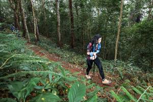 BIB: 
                            <button type="button" onclick="openModal(22583457)" class="btn btn-primary btn-sm float-right btn-popup" data-toggle="modal" data-target=".modal-high-quality">
                        <i class="fas fa-shopping-cart"></i> Add to Cart
                    </button>
                                            <button type="button" onclick="isThisMe(22583457, true)" class="btn btn-success btn-sm float-right btn-popup btn-isme hidden" data-toggle="tooltip" data-placement="bottom" title="นี่คือรูปของคุณใช่ไหม คลิกที่นี่เพื่อเอาเข้าอัลบั้ม">
                        <i class="fas fa-plus"></i> Add to album
                    </button>
                    <button type="button" onclick="isThisMe(22583457, false)" class="btn btn-warning btn-sm float-right btn-popup btn-isnotme hidden">
                        <i class="fas fa-ban"></i> Remove from album
                    </button>