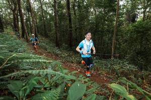 BIB: 
                            <button type="button" onclick="openModal(22535206)" class="btn btn-primary btn-sm float-right btn-popup" data-toggle="modal" data-target=".modal-high-quality">
                        <i class="fas fa-shopping-cart"></i> Add to Cart
                    </button>
                                            <button type="button" onclick="isThisMe(22535206, true)" class="btn btn-success btn-sm float-right btn-popup btn-isme hidden" data-toggle="tooltip" data-placement="bottom" title="นี่คือรูปของคุณใช่ไหม คลิกที่นี่เพื่อเอาเข้าอัลบั้ม">
                        <i class="fas fa-plus"></i> Add to album
                    </button>
                    <button type="button" onclick="isThisMe(22535206, false)" class="btn btn-warning btn-sm float-right btn-popup btn-isnotme hidden">
                        <i class="fas fa-ban"></i> Remove from album
                    </button>