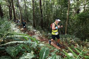 BIB: 452
                            <button type="button" onclick="openModal(22563229)" class="btn btn-primary btn-sm float-right btn-popup" data-toggle="modal" data-target=".modal-high-quality">
                        <i class="fas fa-shopping-cart"></i> Add to Cart
                    </button>
                                            <button type="button" onclick="isThisMe(22563229, true)" class="btn btn-success btn-sm float-right btn-popup btn-isme hidden" data-toggle="tooltip" data-placement="bottom" title="นี่คือรูปของคุณใช่ไหม คลิกที่นี่เพื่อเอาเข้าอัลบั้ม">
                        <i class="fas fa-plus"></i> Add to album
                    </button>
                    <button type="button" onclick="isThisMe(22563229, false)" class="btn btn-warning btn-sm float-right btn-popup btn-isnotme hidden">
                        <i class="fas fa-ban"></i> Remove from album
                    </button>