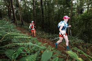 BIB: 
                            <button type="button" onclick="openModal(22536722)" class="btn btn-primary btn-sm float-right btn-popup" data-toggle="modal" data-target=".modal-high-quality">
                        <i class="fas fa-shopping-cart"></i> Add to Cart
                    </button>
                                            <button type="button" onclick="isThisMe(22536722, true)" class="btn btn-success btn-sm float-right btn-popup btn-isme hidden" data-toggle="tooltip" data-placement="bottom" title="นี่คือรูปของคุณใช่ไหม คลิกที่นี่เพื่อเอาเข้าอัลบั้ม">
                        <i class="fas fa-plus"></i> Add to album
                    </button>
                    <button type="button" onclick="isThisMe(22536722, false)" class="btn btn-warning btn-sm float-right btn-popup btn-isnotme hidden">
                        <i class="fas fa-ban"></i> Remove from album
                    </button>