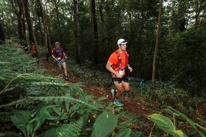 BIB: 
                            <button type="button" onclick="openModal(22533550)" class="btn btn-primary btn-sm float-right btn-popup" data-toggle="modal" data-target=".modal-high-quality">
                        <i class="fas fa-shopping-cart"></i> Add to Cart
                    </button>
                                            <button type="button" onclick="isThisMe(22533550, true)" class="btn btn-success btn-sm float-right btn-popup btn-isme hidden" data-toggle="tooltip" data-placement="bottom" title="นี่คือรูปของคุณใช่ไหม คลิกที่นี่เพื่อเอาเข้าอัลบั้ม">
                        <i class="fas fa-plus"></i> Add to album
                    </button>
                    <button type="button" onclick="isThisMe(22533550, false)" class="btn btn-warning btn-sm float-right btn-popup btn-isnotme hidden">
                        <i class="fas fa-ban"></i> Remove from album
                    </button>