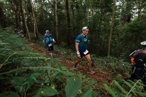 BIB: 2544
                            <button type="button" onclick="openModal(22582809)" class="btn btn-primary btn-sm float-right btn-popup" data-toggle="modal" data-target=".modal-high-quality">
                        <i class="fas fa-shopping-cart"></i> Add to Cart
                    </button>
                                            <button type="button" onclick="isThisMe(22582809, true)" class="btn btn-success btn-sm float-right btn-popup btn-isme hidden" data-toggle="tooltip" data-placement="bottom" title="นี่คือรูปของคุณใช่ไหม คลิกที่นี่เพื่อเอาเข้าอัลบั้ม">
                        <i class="fas fa-plus"></i> Add to album
                    </button>
                    <button type="button" onclick="isThisMe(22582809, false)" class="btn btn-warning btn-sm float-right btn-popup btn-isnotme hidden">
                        <i class="fas fa-ban"></i> Remove from album
                    </button>